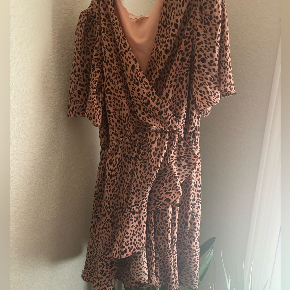 Francesca’s Gorgeous Leopard Dress
